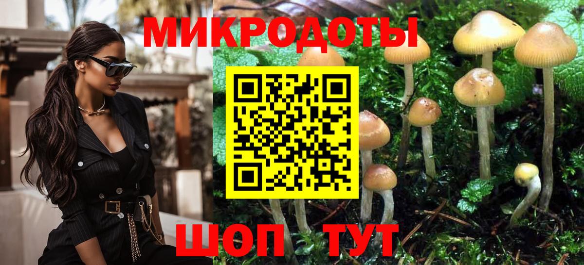 Бузулук  Галлюциногенные грибы Magic Shrooms  Вход с VPN 